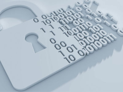 How to change zigzagweb client account password